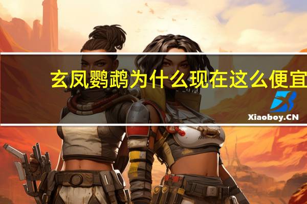 玄凤鹦鹉为什么现在这么便宜