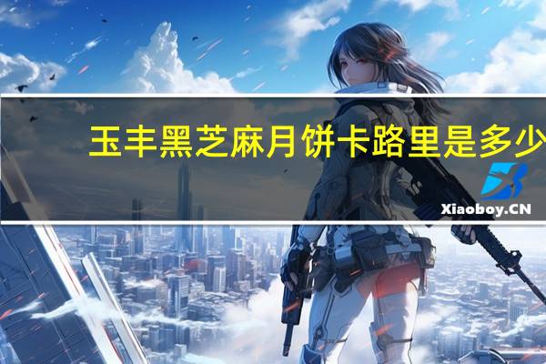 玉丰 黑芝麻月饼卡路里是多少