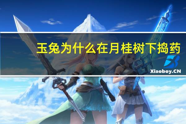 玉兔为什么在月桂树下捣药