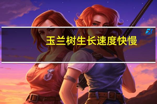玉兰树生长速度快慢