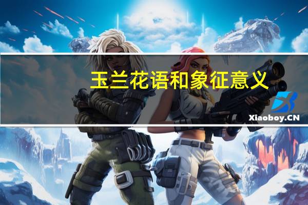 玉兰花语和象征意义