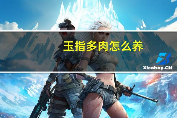 玉指多肉怎么养
