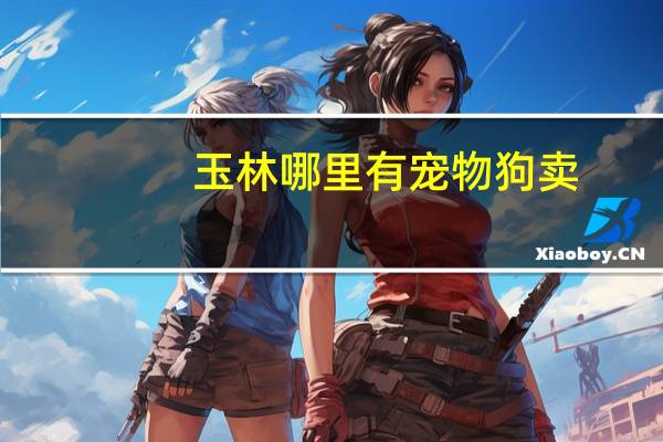 玉林哪里有宠物狗卖