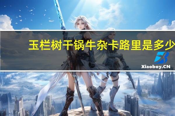 玉栏树 干锅牛杂卡路里是多少