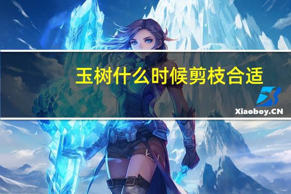 玉树什么时候剪枝合适