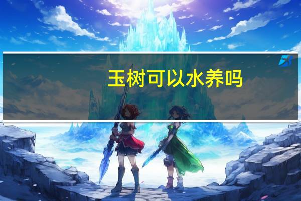 玉树可以水养吗