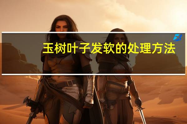 玉树叶子发软的处理方法：四个玉树叶子发软的处理方法介绍