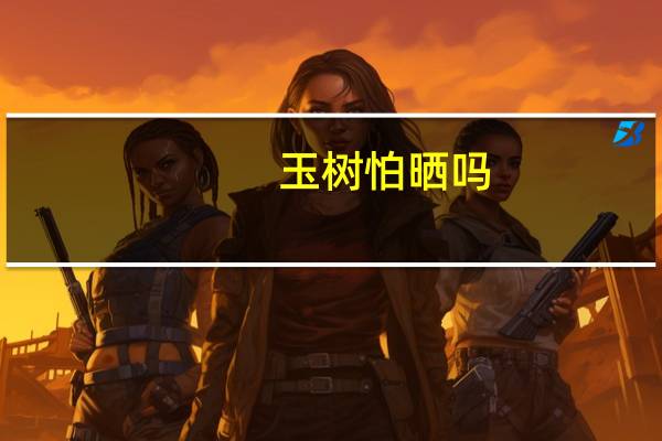 玉树怕晒吗
