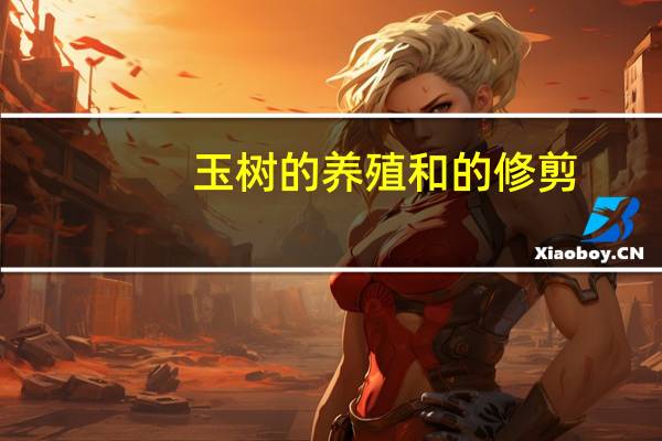 玉树的养殖和的修剪