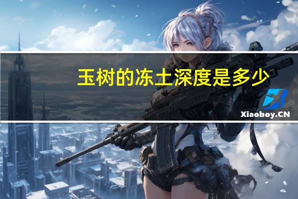 玉树的冻土深度是多少