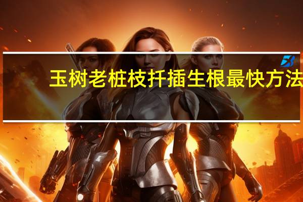 玉树老桩枝扦插生根最快方法