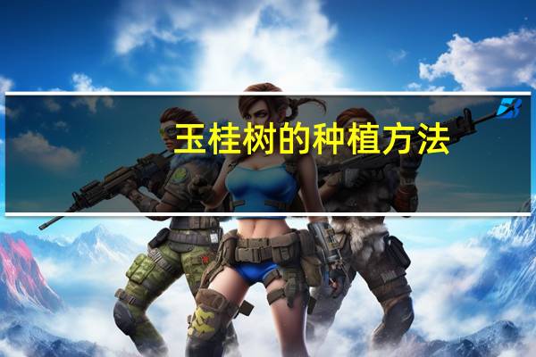 玉桂树的种植方法