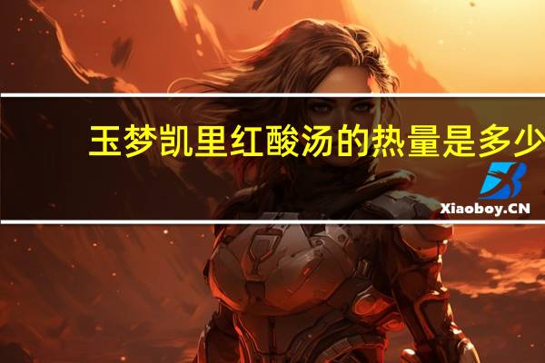 玉梦 凯里红酸汤的热量是多少
