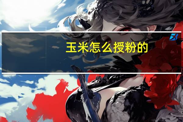 玉米怎么授粉的