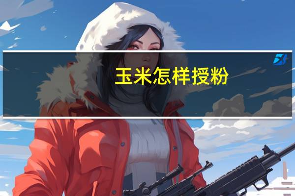 玉米怎样授粉
