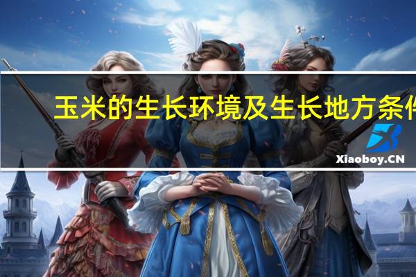 玉米的生长环境及生长地方条件