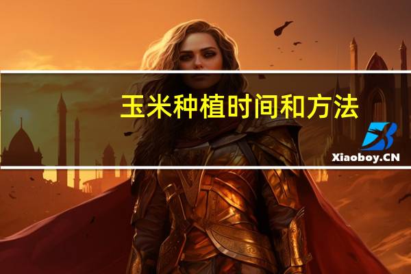 玉米种植时间和方法