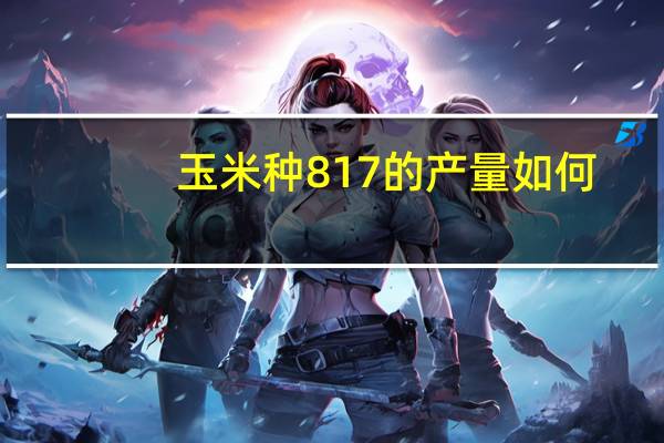 玉米种817的产量如何