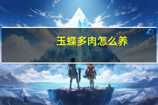 玉蝶多肉怎么养