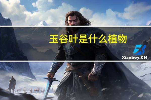 玉谷叶是什么植物