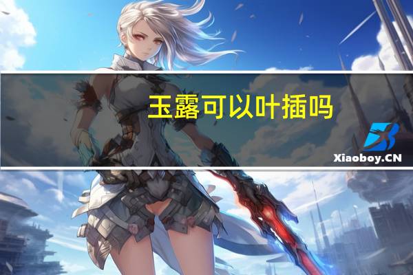 玉露可以叶插吗