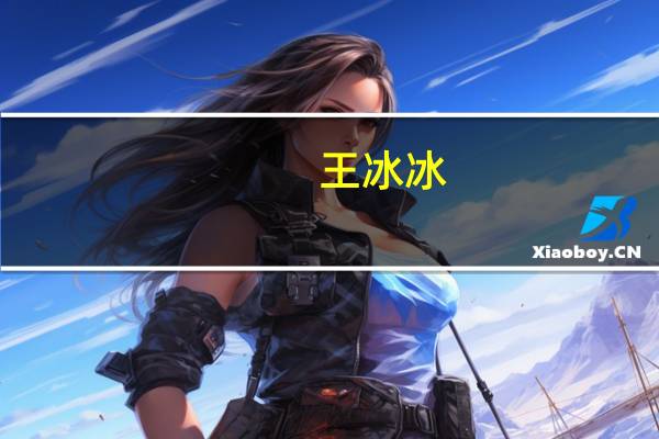 王冰冰（关于王冰冰的介绍）