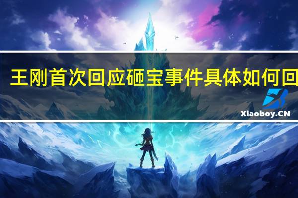 王刚首次回应砸宝事件 具体如何回应的