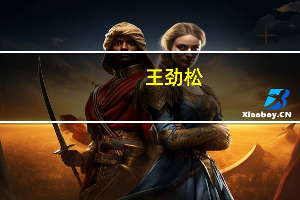 王劲松(关于王劲松的介绍)