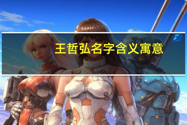 王哲弘名字含义寓意，王哲弘这个名字怎么样