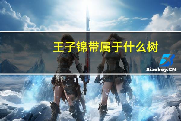 王子锦带属于什么树