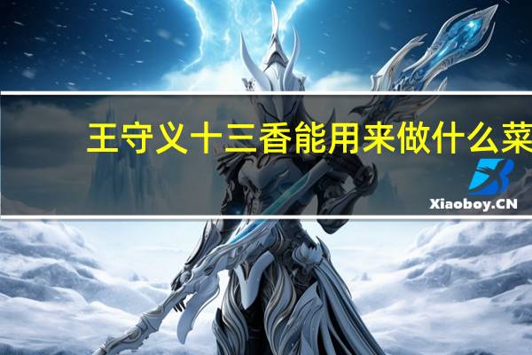 王守义十三香能用来做什么菜