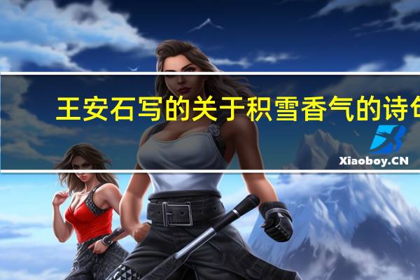 王安石写的关于积雪香气的诗句
