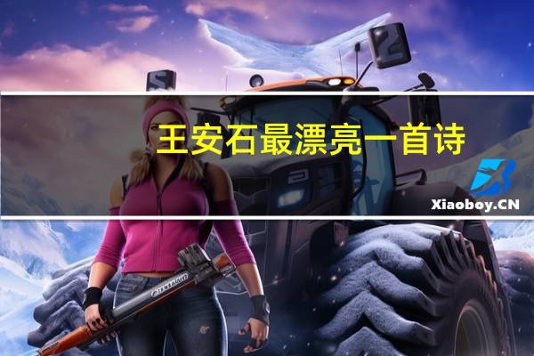 王安石最漂亮一首诗