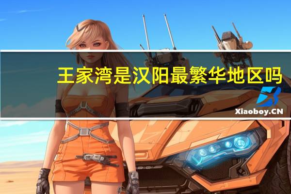 王家湾是汉阳最繁华地区吗