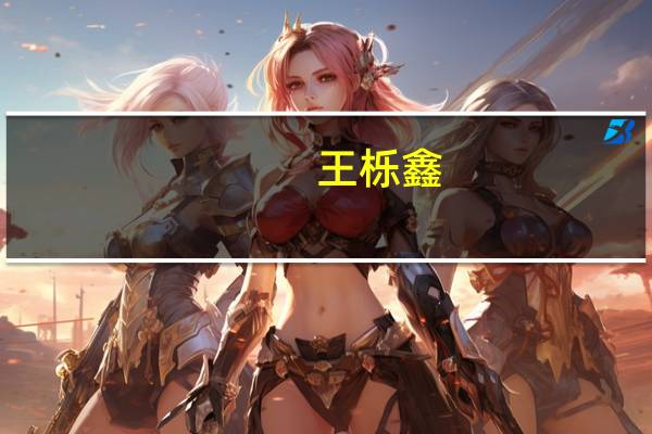 王栎鑫（关于王栎鑫的介绍）