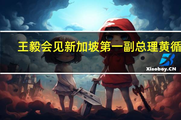 王毅会见新加坡第一副总理黄循财