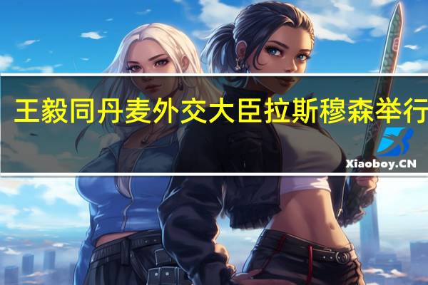 王毅同丹麦外交大臣拉斯穆森举行会谈