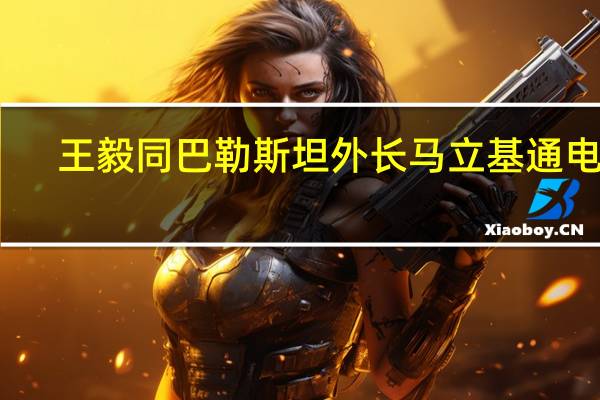王毅同巴勒斯坦外长马立基通电话