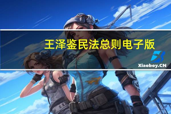 王泽鉴民法总则电子版(王泽鉴)