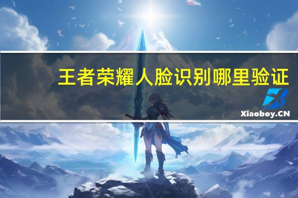 王者荣耀人脸识别哪里验证（王者荣耀人脸识别在哪验证）
