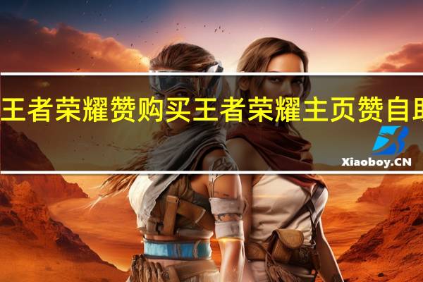 王者荣耀赞购买 王者荣耀主页赞自助平台