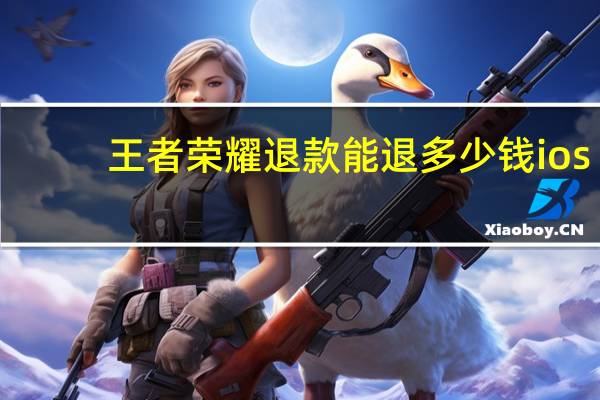 王者荣耀退款能退多少钱ios（王者荣耀退款能退多少）