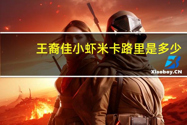 王裔佳 小虾米卡路里是多少