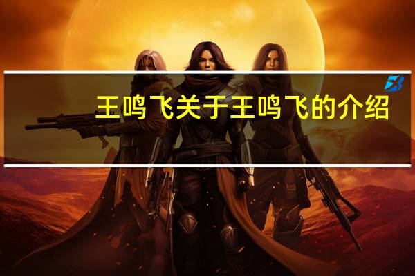 王鸣飞 关于王鸣飞的介绍