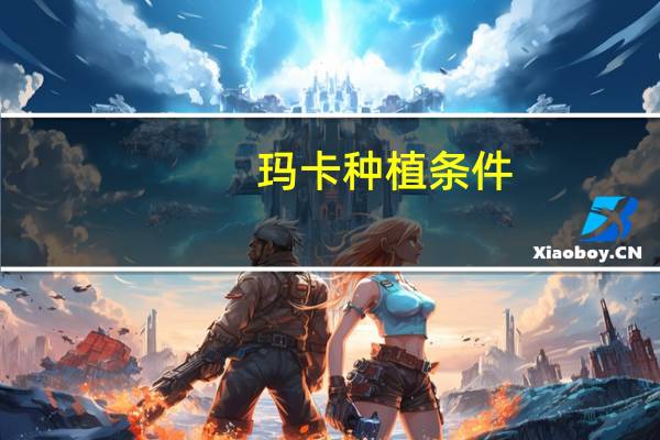 玛卡种植条件