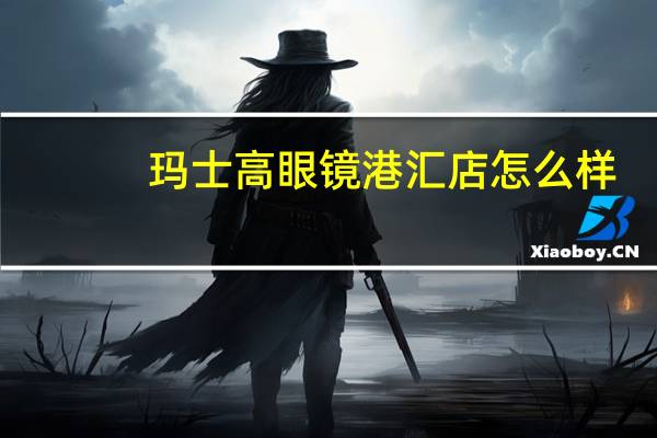 玛士高眼镜港汇店怎么样