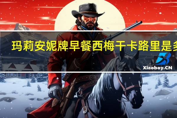 玛莉安妮 牌早餐西梅干卡路里是多少