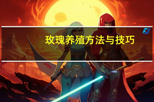 玫瑰养殖方法与技巧