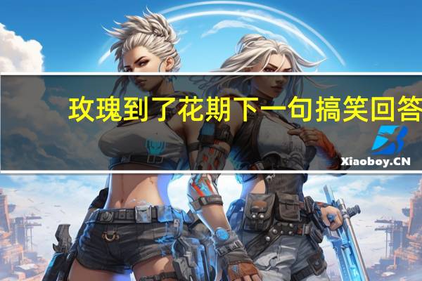 玫瑰到了花期下一句搞笑回答（玫瑰到了花期下一句）