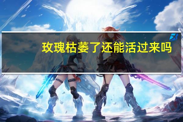 玫瑰枯萎了还能活过来吗